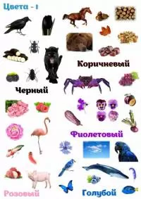 Печать на фетре "Цвета - 1"
