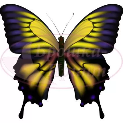 Шаблон для броши, жесткий фетр 1.2 мм, рис. 428 (Бабочка)
