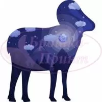 Шаблон для броши, жесткий фетр 1.2 мм, рис. 47