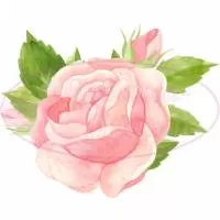 Шаблон для броши, жесткий фетр 1.2 мм, рис. 52