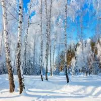 Печать для книги, сумочки или подушки - дизайн 266