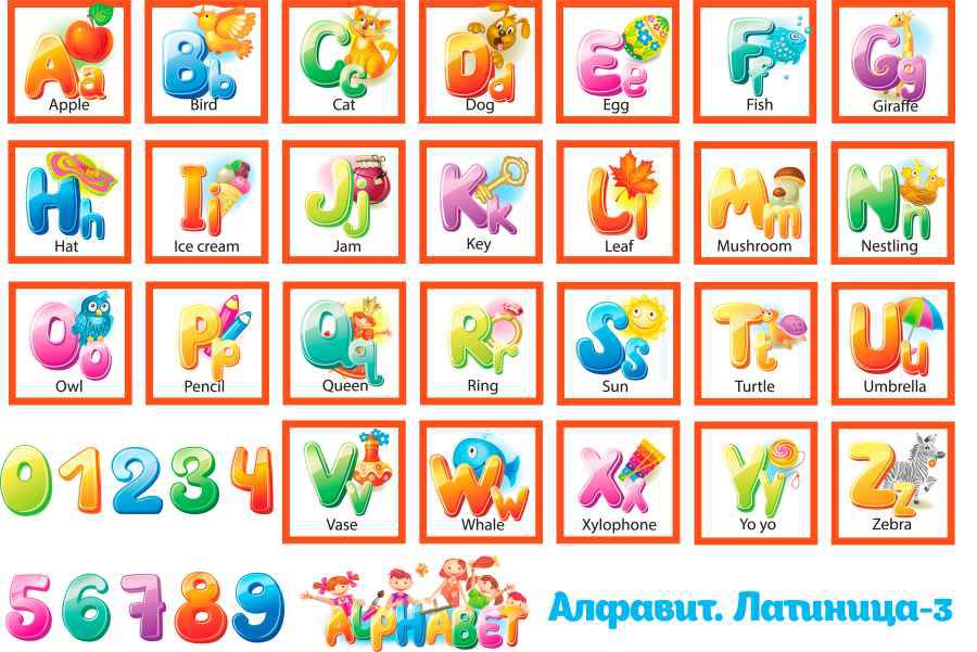 Fetr S Risunkom Alfavit Latinica 3