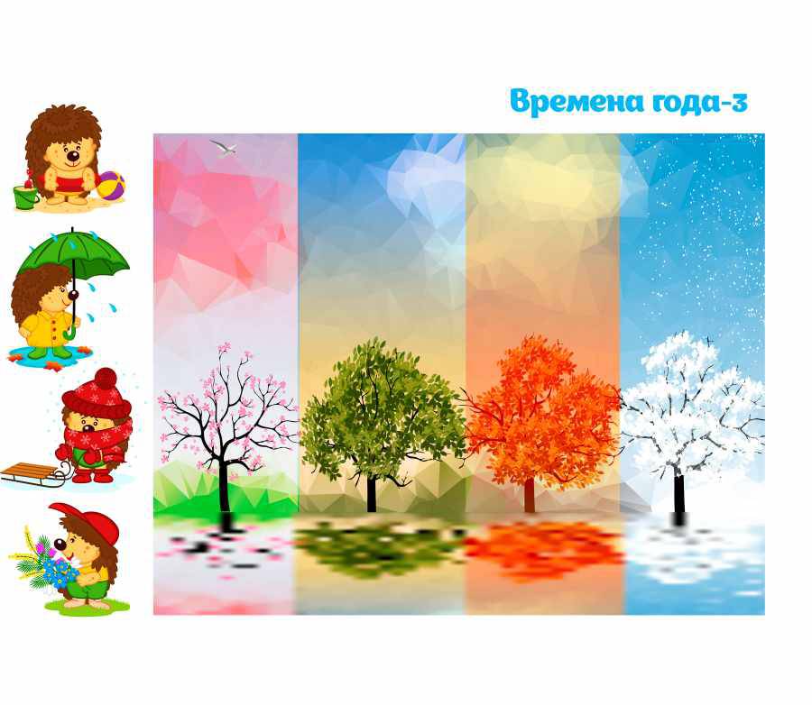 Korejskij Fetr S Risunkom Vremena Goda 3